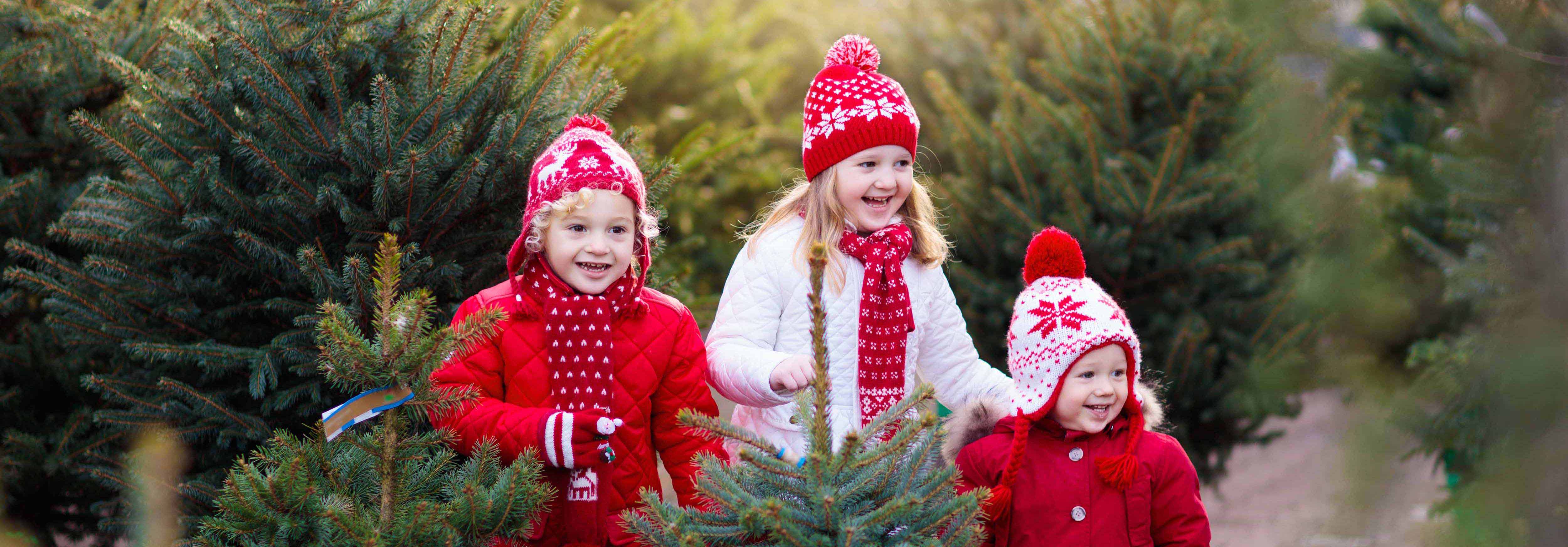 Three blonde children dressed in red christmas outfits smiling as they pick out a christmas tree.