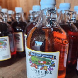 Christmas Market Wreaths of all shapes and sizes